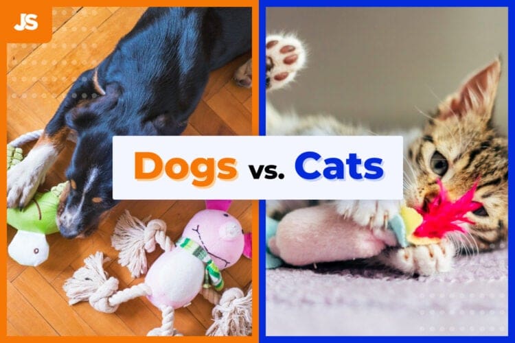 Pet Parent Spending Trends Q1 2022: Dogs vs. Cats