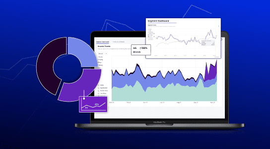 A Business Leader’s Roadmap to Building Ecommerce Market Share